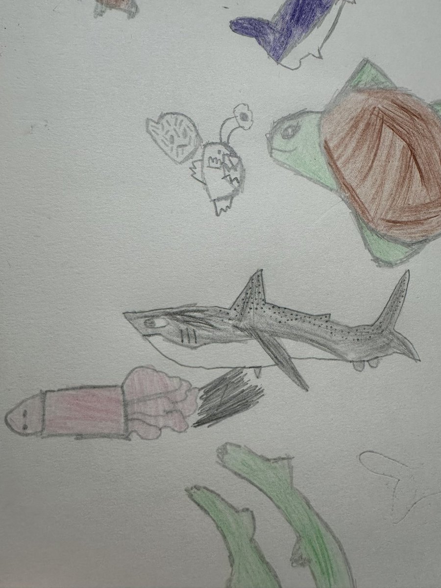 MissC_P's tweet image. Starting off our Sculpture unit in Art  by sketching fish inspired by illustrator @bethanwoollvin 🐟🐠🐡 shapes, patterns and colours inspo taken from ‘Meet the Oceans’ @carylhart1 🐡🐠🐟 @fieldhouseinfs