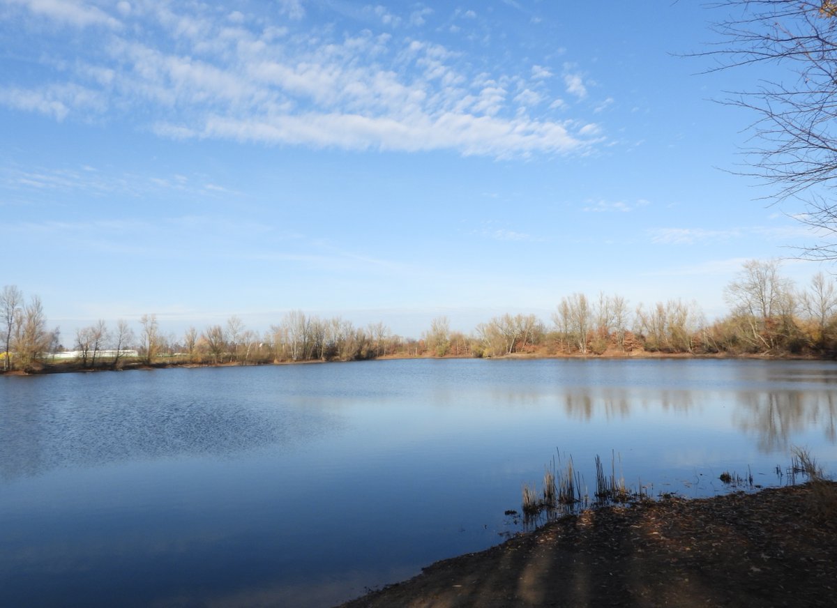 Draza Holmann tweet media