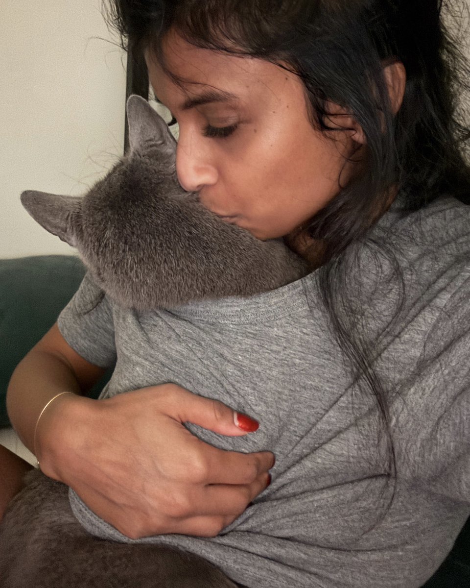 deepa's tweet image. My baby turns 5 today and his vet has the audacity to call him middle-aged 🥲