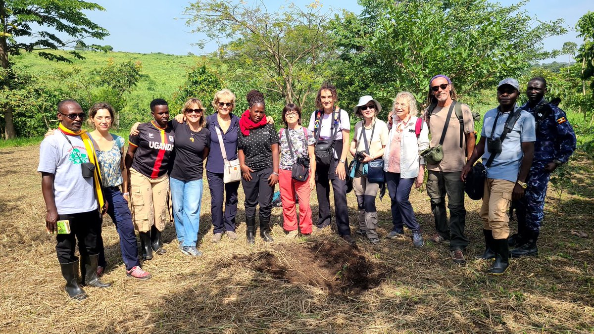 Association for Conservation of Bugoma Forest tweet media