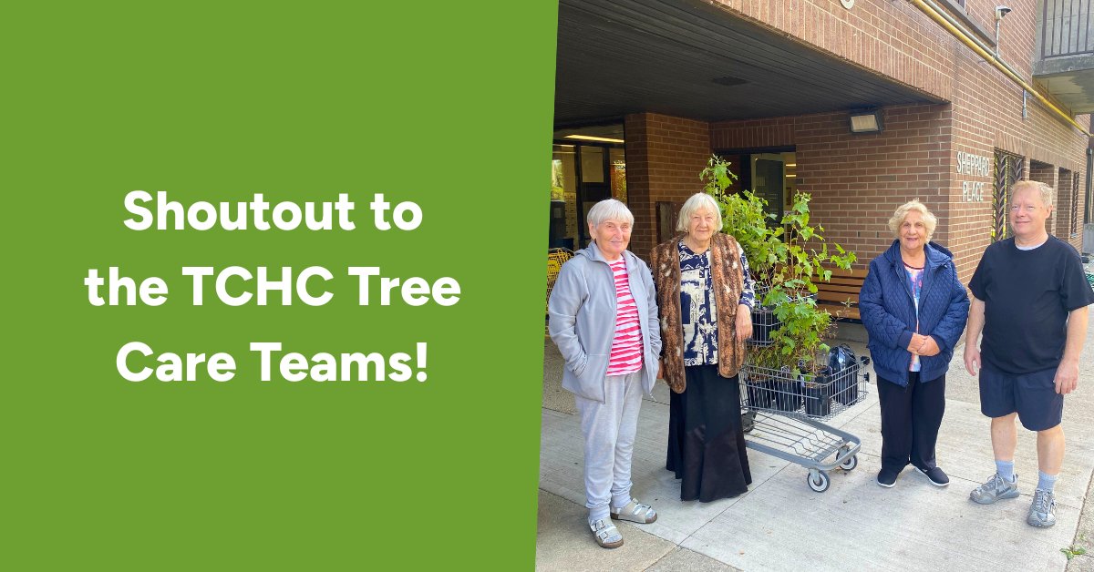 leaf's tweet image. 🌿👏 Hats off to our TREErific #TCHC Tree Care Team for nurturing over 120 native trees this year. Your care makes a lasting impact in your community! 🌳💚