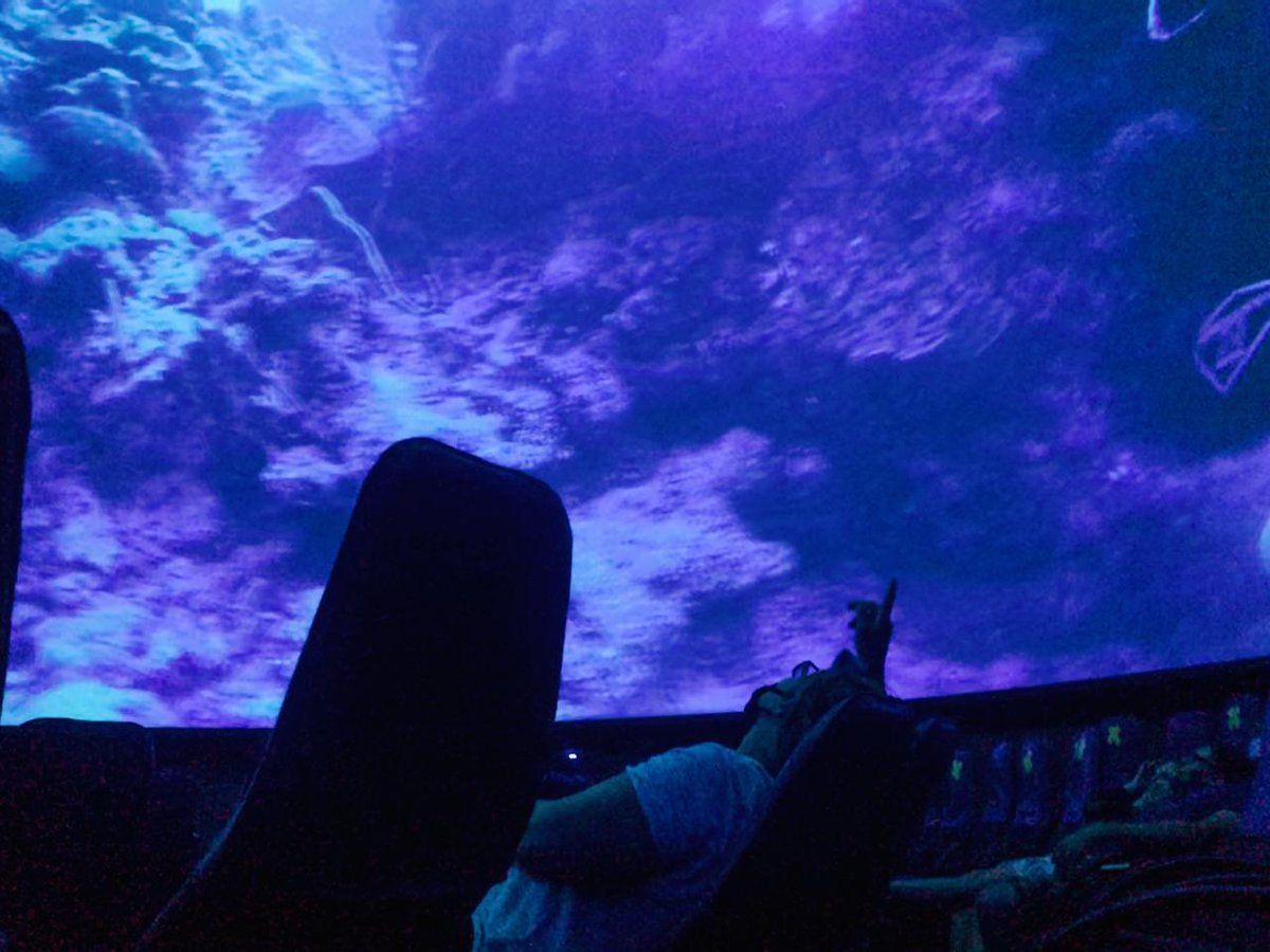 Iziko_Museums tweet media