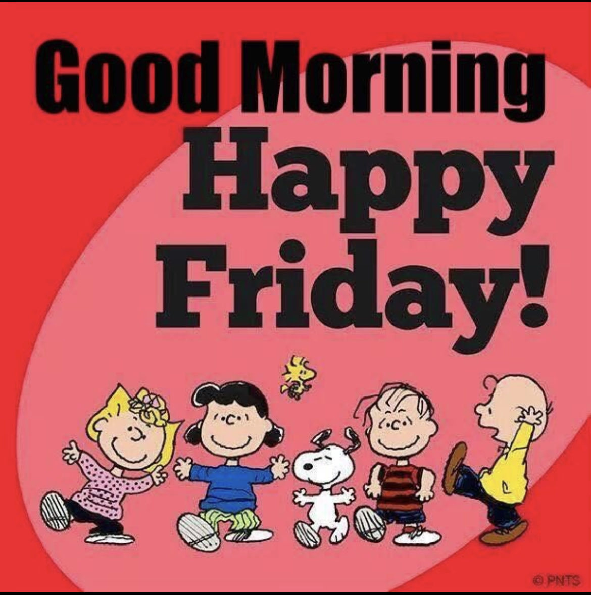 Good Morning 
Happy Friday!