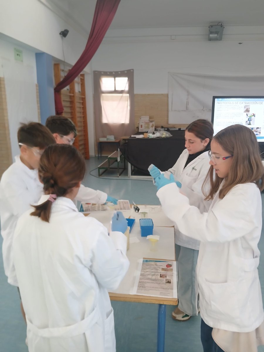 SeminisIberia's tweet photo. 🔬 Cerramos la Semana de la Ciencia de #Baylab visitando Virgen de Loreto, Ginés Morata, Portocarrero, FP Albaida, IES Aguadulce y Divina Infantita.
Casi 800 jóvenes han disfrutado de talleres como extracción de ADN o cromatografía.
En Bayer, la ciencia es la semilla del mañana https://t.co/4IXBvRLSUJ
