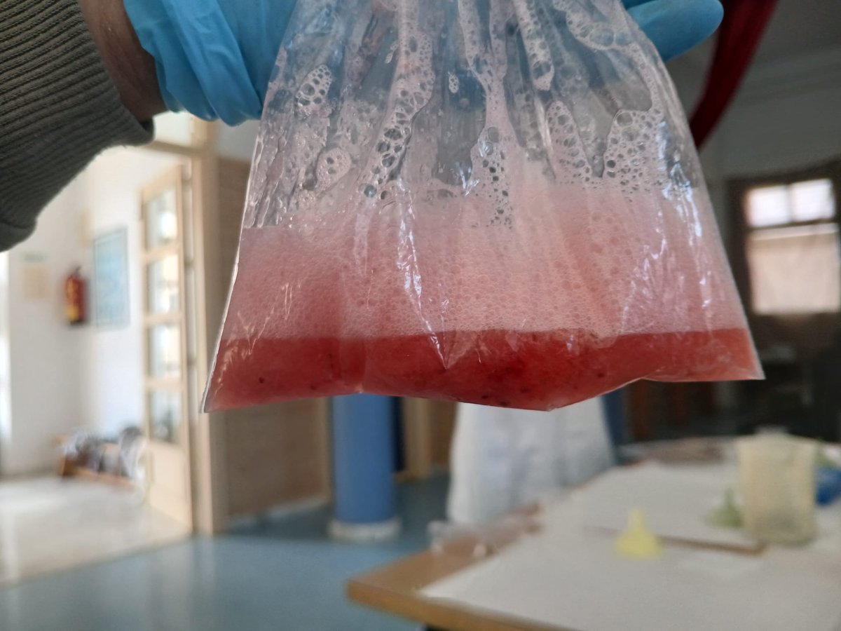 SeminisIberia's tweet photo. 🔬 Cerramos la Semana de la Ciencia de #Baylab visitando Virgen de Loreto, Ginés Morata, Portocarrero, FP Albaida, IES Aguadulce y Divina Infantita.
Casi 800 jóvenes han disfrutado de talleres como extracción de ADN o cromatografía.
En Bayer, la ciencia es la semilla del mañana https://t.co/4IXBvRLSUJ