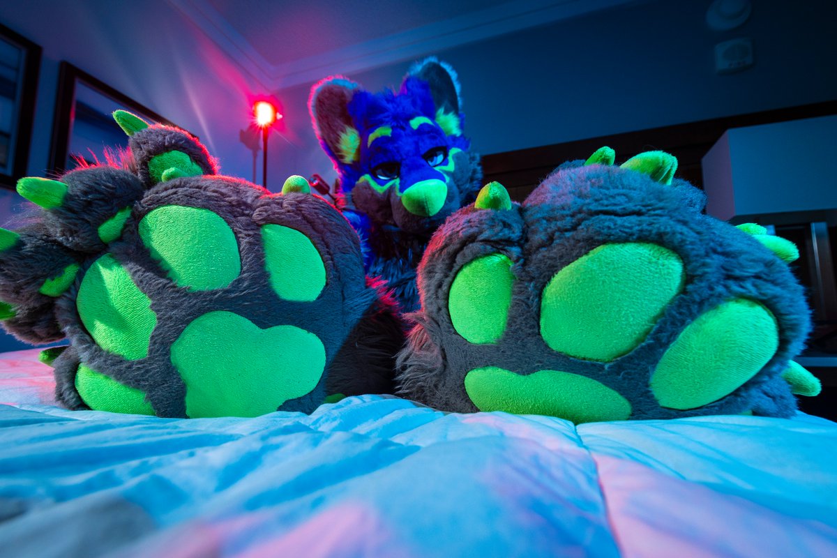 You're not just gonna stare right?
📸<a href="/dire_walf/">Dire Walf</a> 
#fursuitfriday