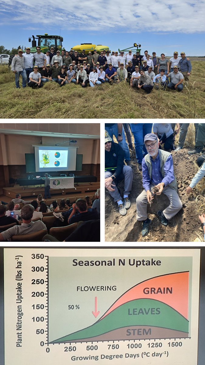 Lisandro Martino tweet media