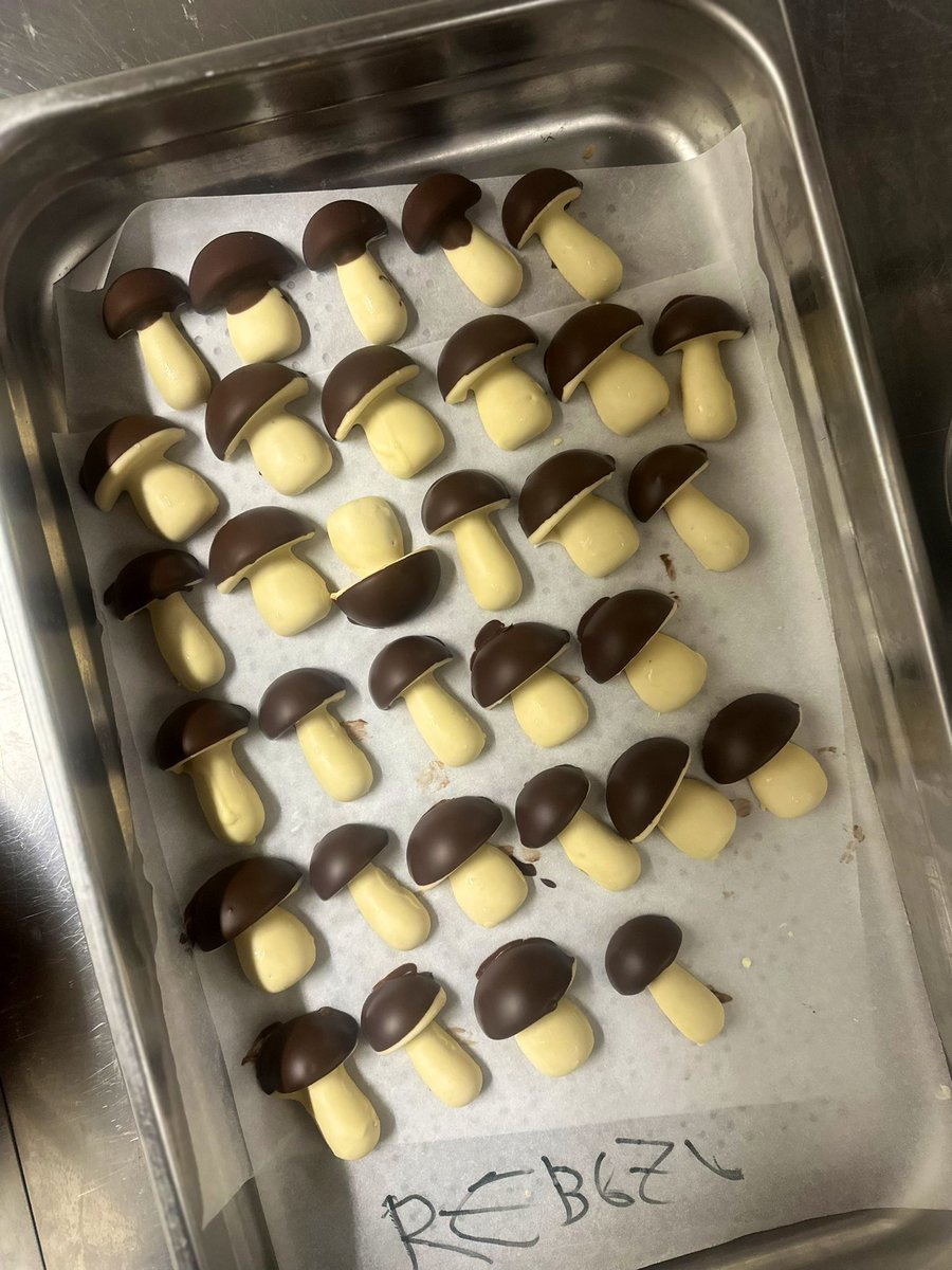 Contento de que funcione un año más el menú Buscasetas 🥹🍄