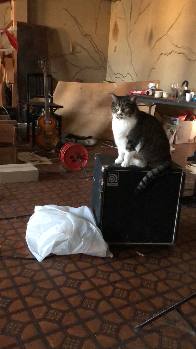 tsukasa takahashi (@tsukasaxt_x) on X