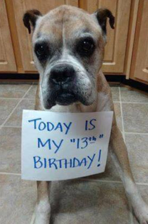 Happy birthday sweetie ♥️ 
Wish him the best 🙌🏻