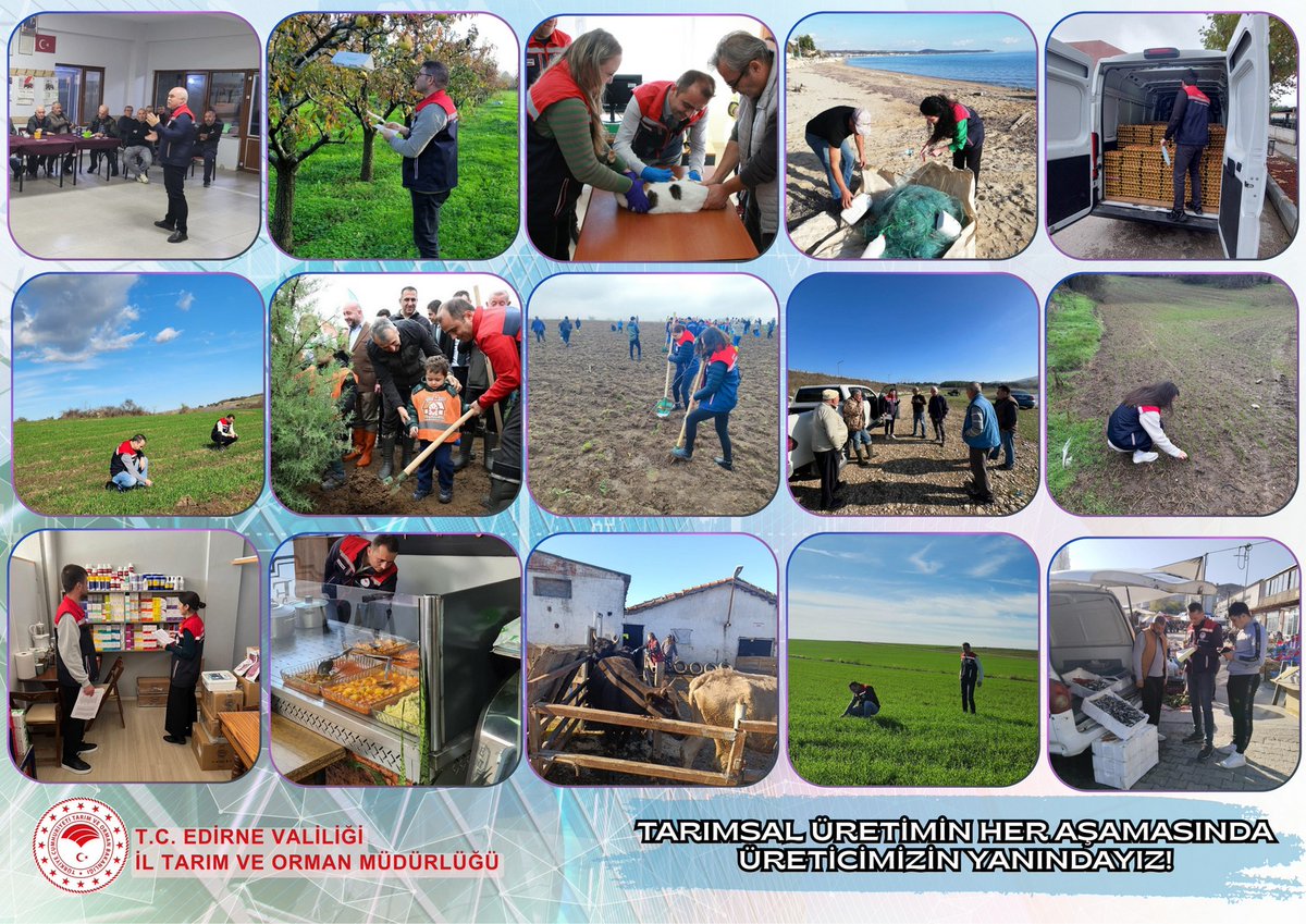 📍Emek Varsa Bereket Vardır!  
Emeğiyle toprağı bereketlendiren, alın teriyle üretime değer katan tüm üreticilerimizin her zaman yanındayız. 
#GüvenilirGıda #ÜreticininYanındayız #EmekVarsaBereketVar <a href="/TCTarim/">T.C. Tarım ve Orman Bakanlığı</a>