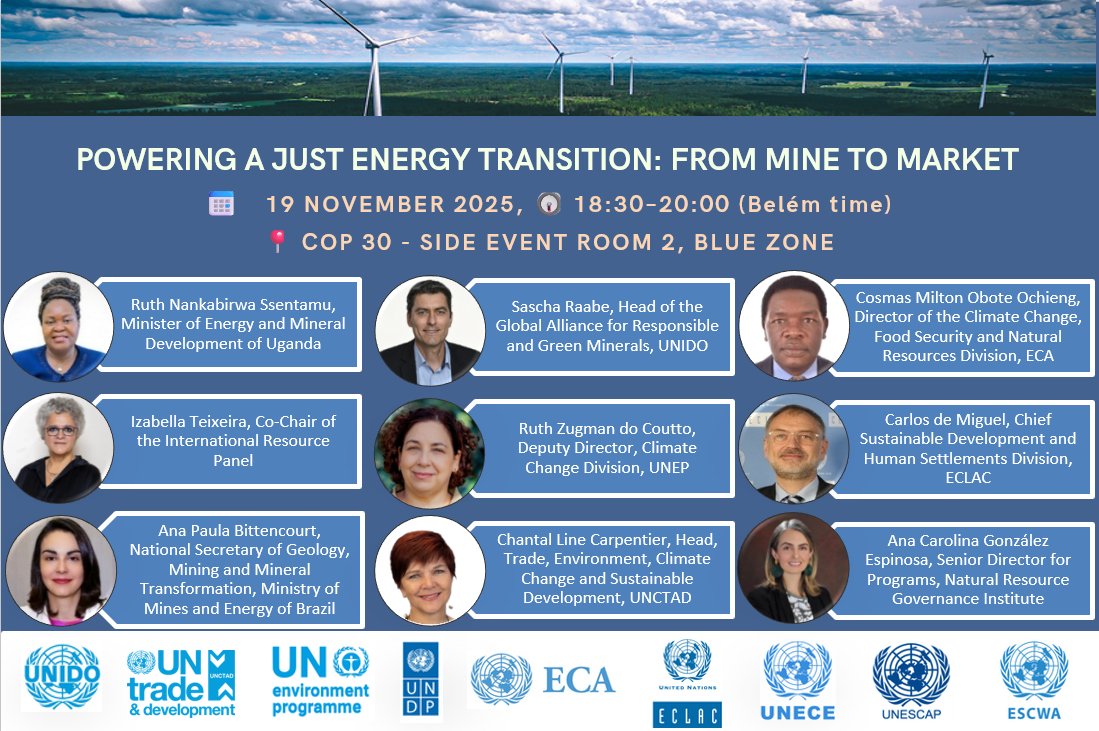 International Resource Panel (IRP) tweet media