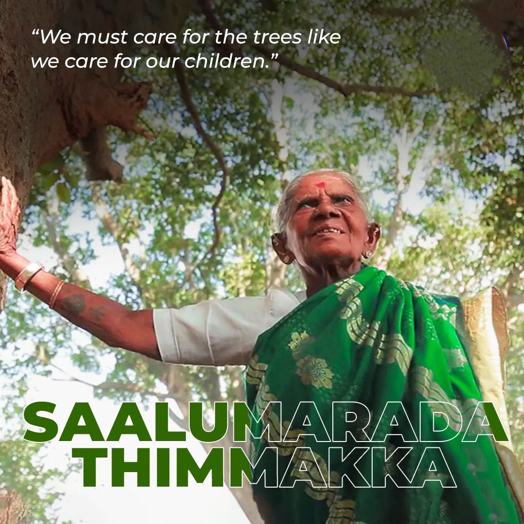 NaturallySudha's tweet image. Saalumarada Thimmakka passed away today at the age of 114!

Did you know that Thimmakka got the name &apos;Saalumarada&apos; which means &apos;Rows of Trees&apos;, owing it to her passion for planting trees!

She&apos;s credited with having planted 8,000+ trees of different varieties. These are in…