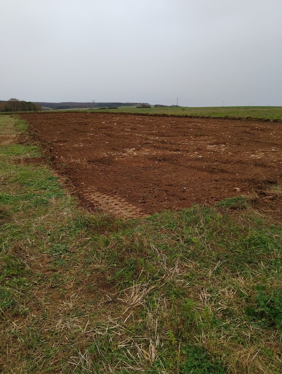 Pascal21cor's tweet image. Aujourd&apos;hui 1e coup de pelle 
normalement stokage paille matériel
une organisation m&apos;attends pour cette été 
j&apos;ai hâte d&apos;y avoir accès et de pouvoir me simplifier le travail 
bientôt fini le bâchage de meules