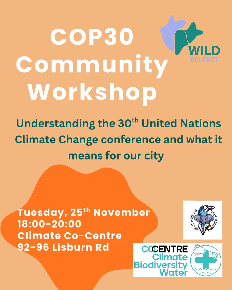 Wild Belfast tweet media