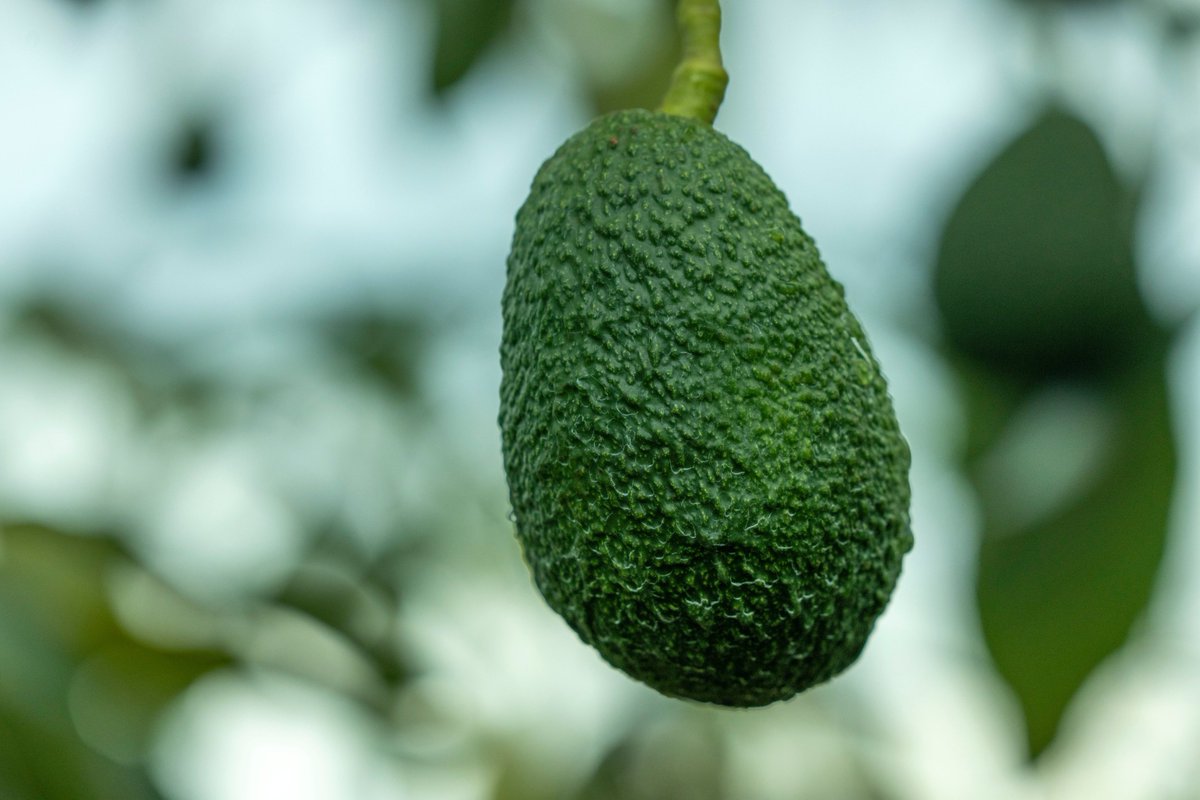 EcoAgriMedia tweet media