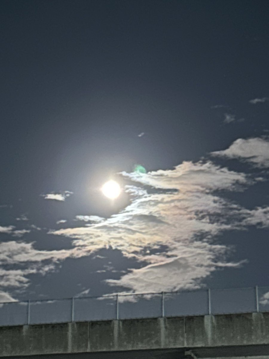 4zlp69FP4c93687's tweet image. 体調気をつけないとね！早くこの身体の痛みと鼻水を治して奥静岡、会いたい子達に会いに行かなきゃ！
旅館いちかわ　にね❣️

待っててねぇ❤️