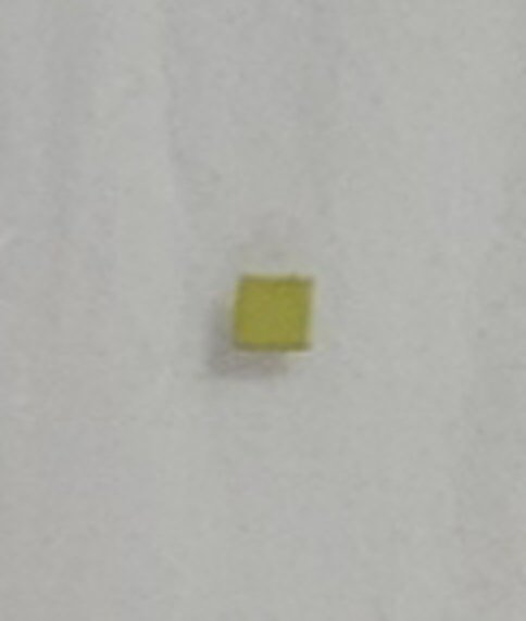 Zyklus 'ich habe keinen Bademantel'
Corpus Fund 2bx 25
1,42cm x 1, 41cm