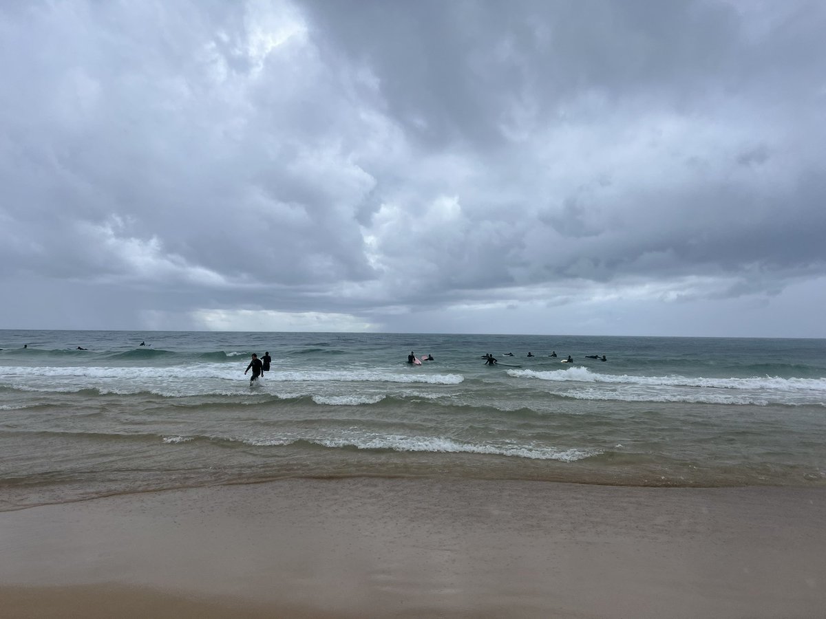 Assaf Zinger tweet media