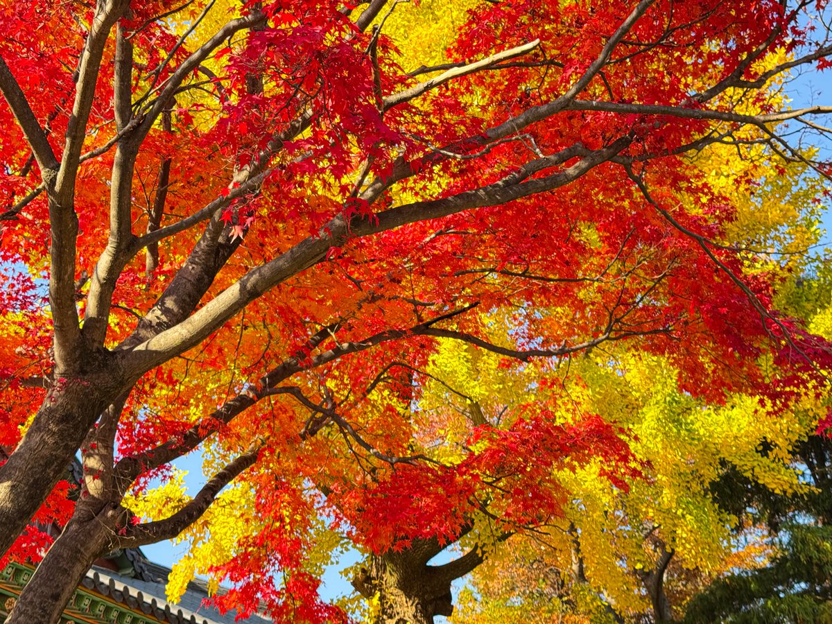 Endless♥️鈴仙 tweet media