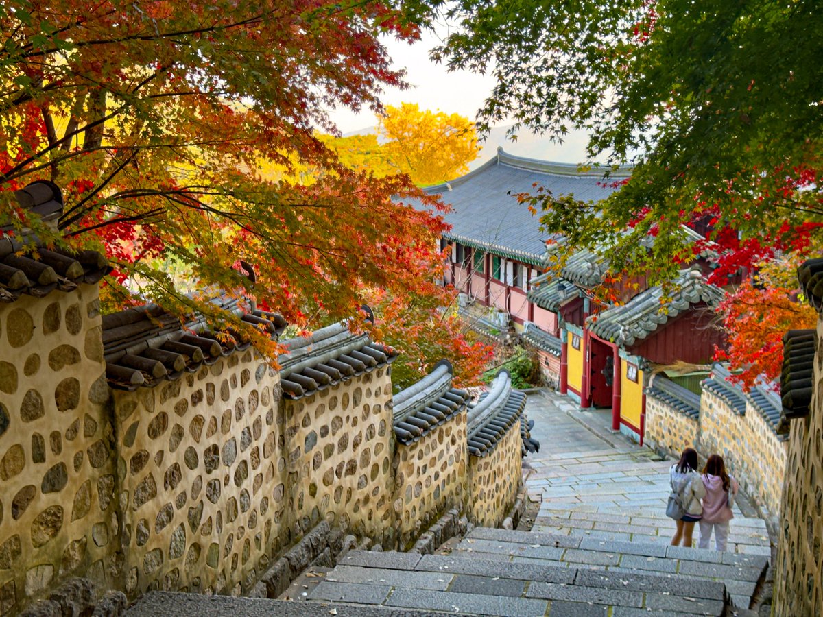 Endless♥️鈴仙 tweet media