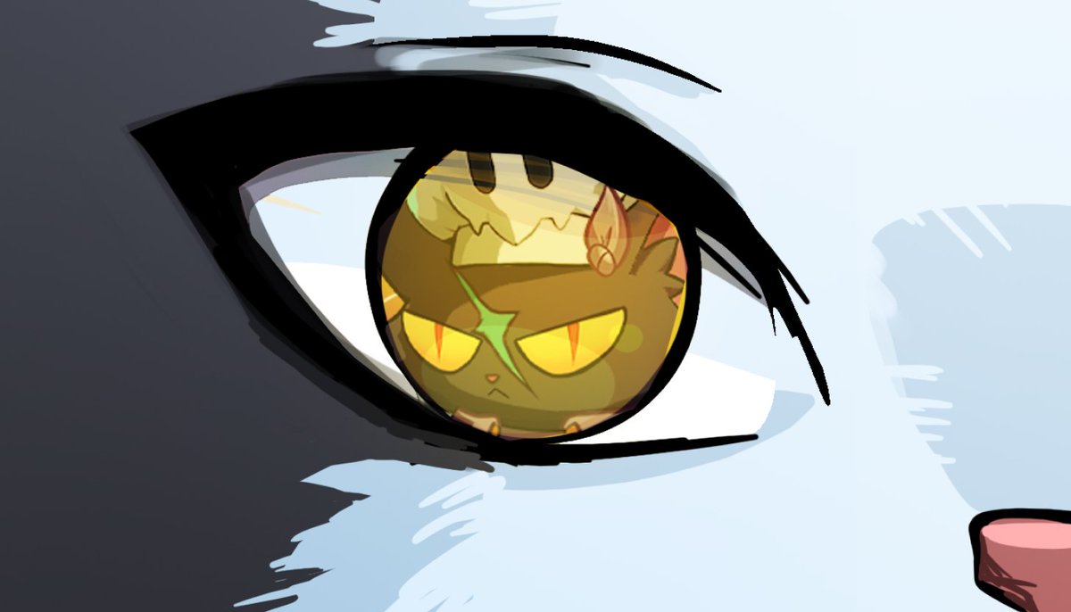 Defi Cattos tweet media