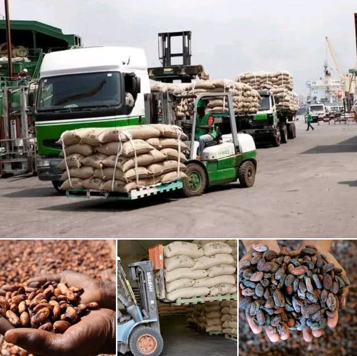EmmyGisa3's tweet photo. Africa Produces the Beans, Europe Makes the Money. Why?

Africa is the world’s powerhouse for coffee and cocoa  yet countries that don’t grow a single bean earn more. Here’s the reality:

• Côte d’Ivoire & Ghana produce over 60% of the world’s cocoa, exporting $3.21B and $1.26B worth of raw cocoa in 2022.
• Germany produces 0% cocoa, yet it earns billions by importing raw beans, processing them, and exporting chocolate and cocoa products.

• In coffee, African nations supply a huge share of global beans  but Germany exported 473,000 tonnes of coffee in 2024, earning €6 billion, all from processing and re-exporting coffee it didn’t grow.

• African farmers typically receive only ~6% of the final value of a chocolate bar. The rest is captured through roasting, grinding, packaging, branding, and marketing  mostly done outside Africa.

The lesson?

Raw materials don’t build wealth: value addition does.
If Africa focuses on local processing, packaging, and branding, the continent can capture the real profits and stop exporting wealth disguised as beans.

Africa has the resources. Now it needs the factories.