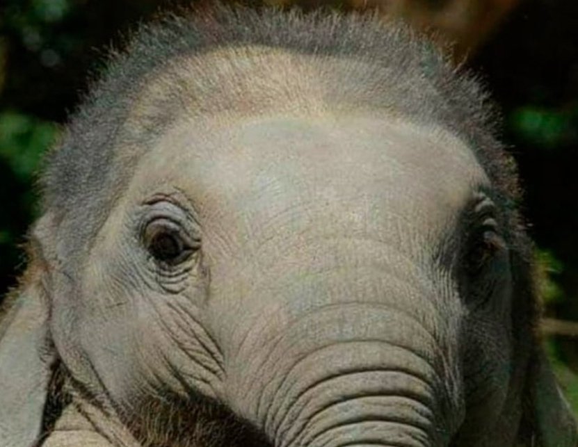 Tony Brown tweet media