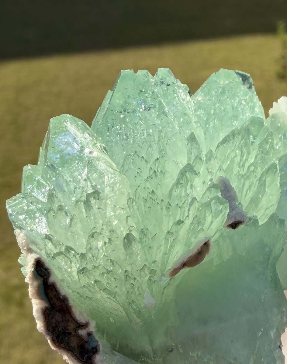 USHIQ🐼天然石とﾜｲﾔｰのｱｸｾｻﾘｰ (@USHIQ69) / Posts / X