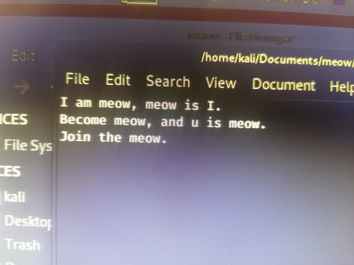 Slipperyjonkey's tweet image. So yeah, I uhhh, yes I swear I&apos;m studying properly