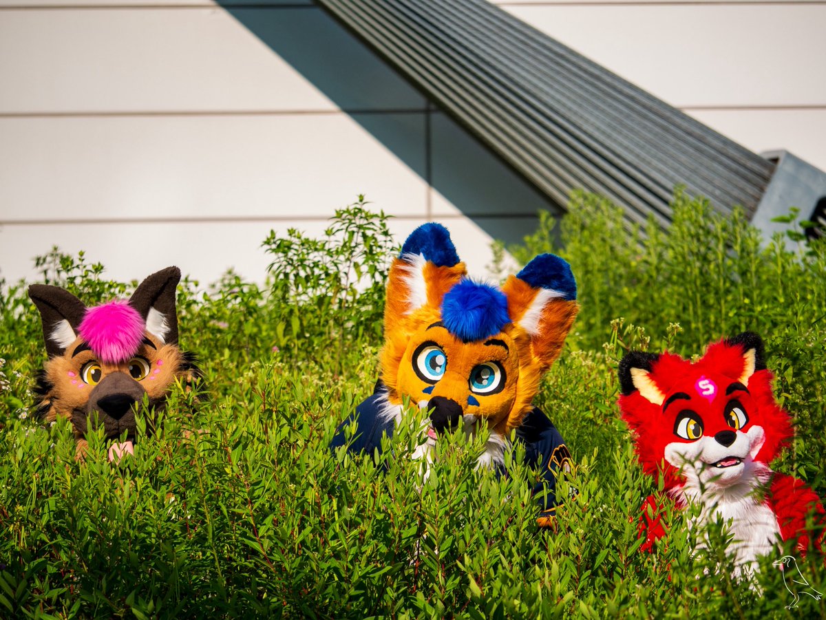 Always watching! #FursuitFriday 

📸: Kuvo