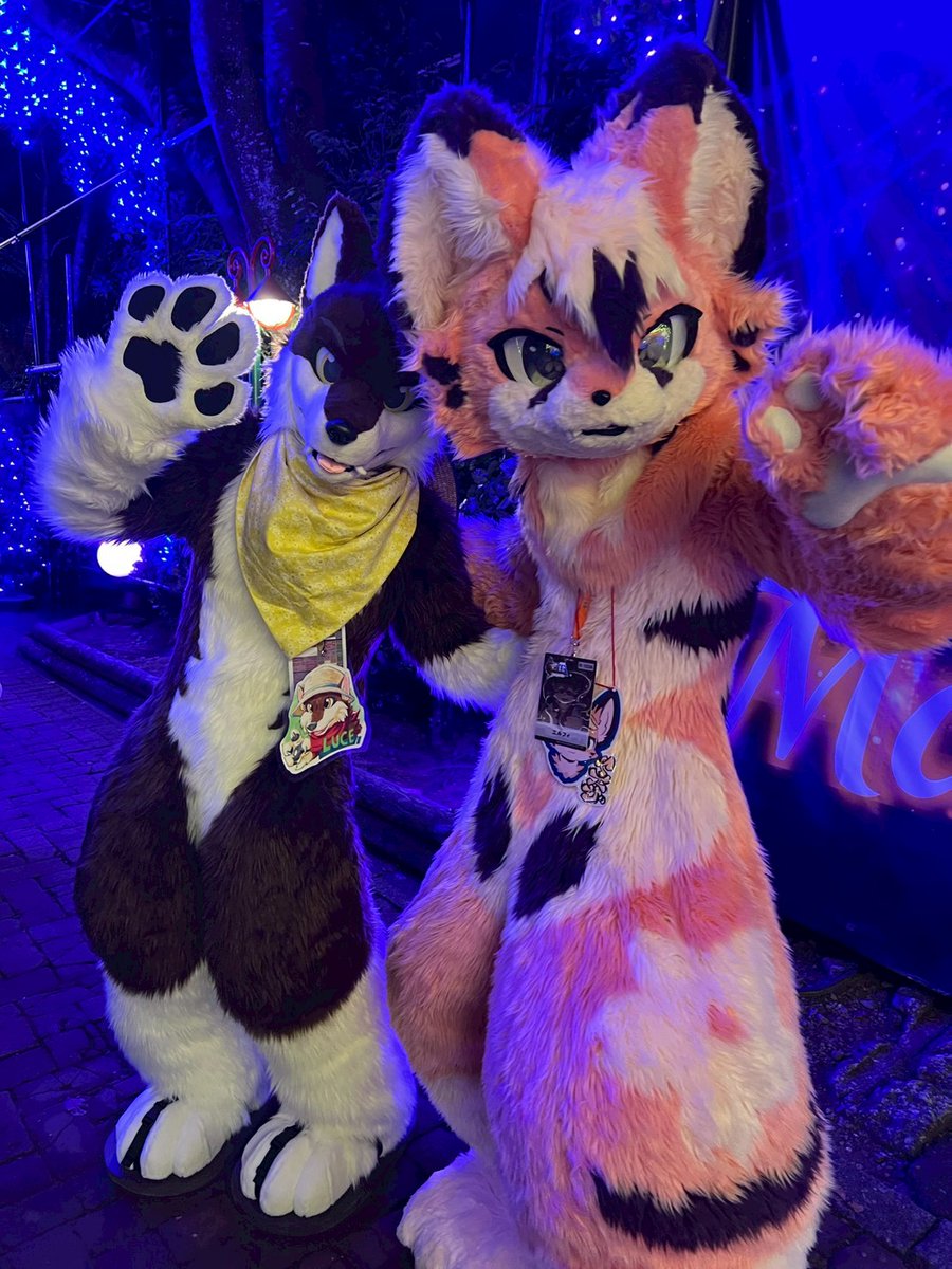 JUN@wanderer tweet media