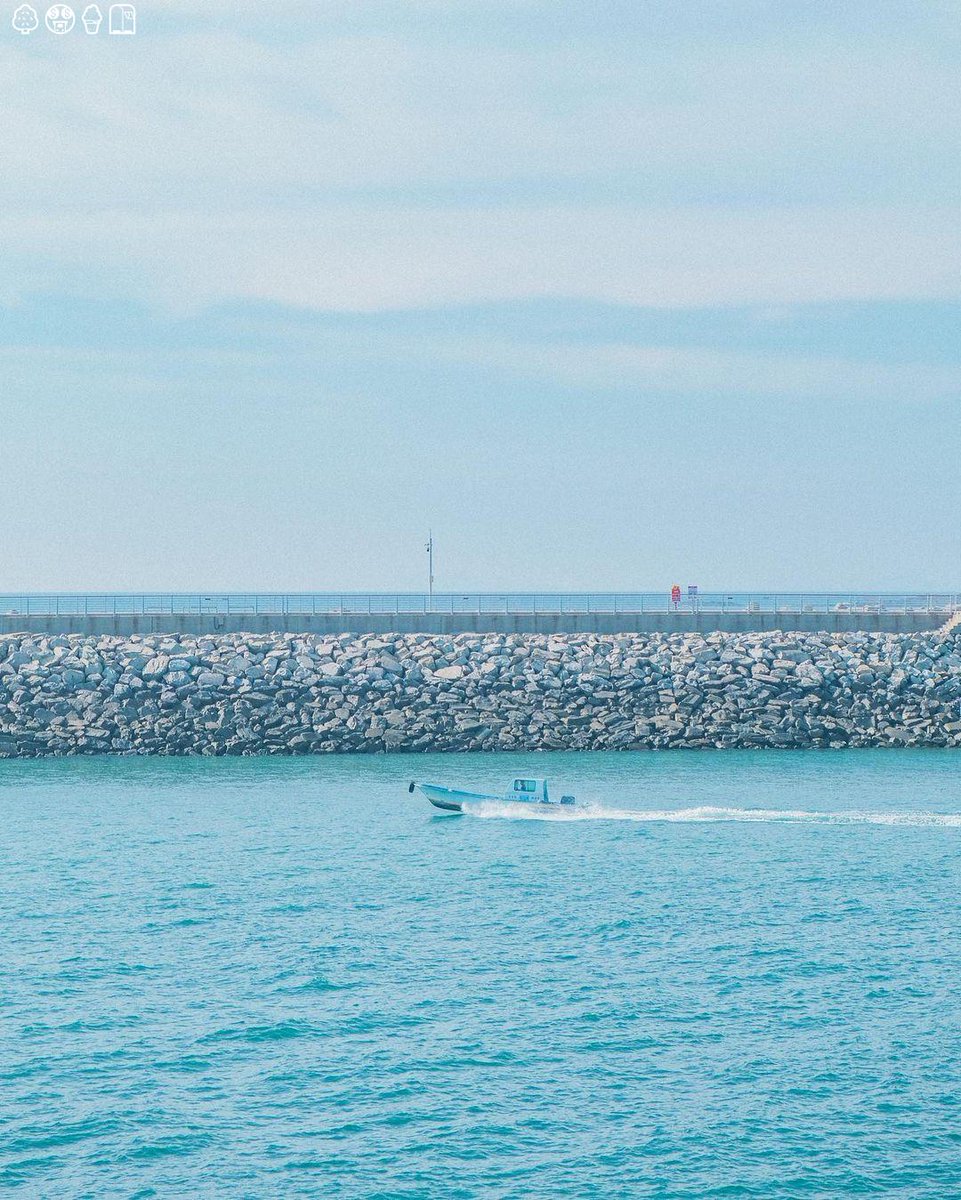 cat sleep monday after believe in better days. goals goals life dreams♠🍯81241