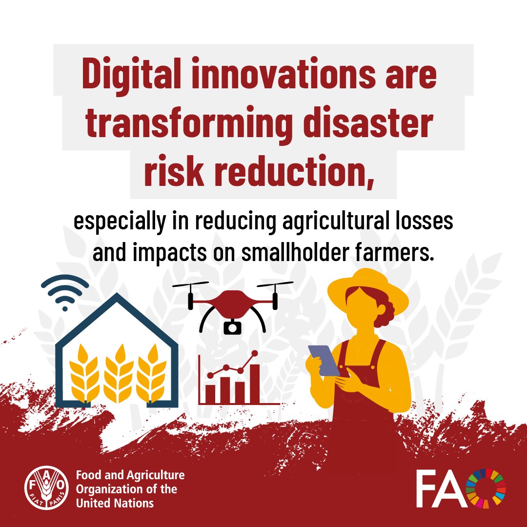 FAO Statistics tweet media