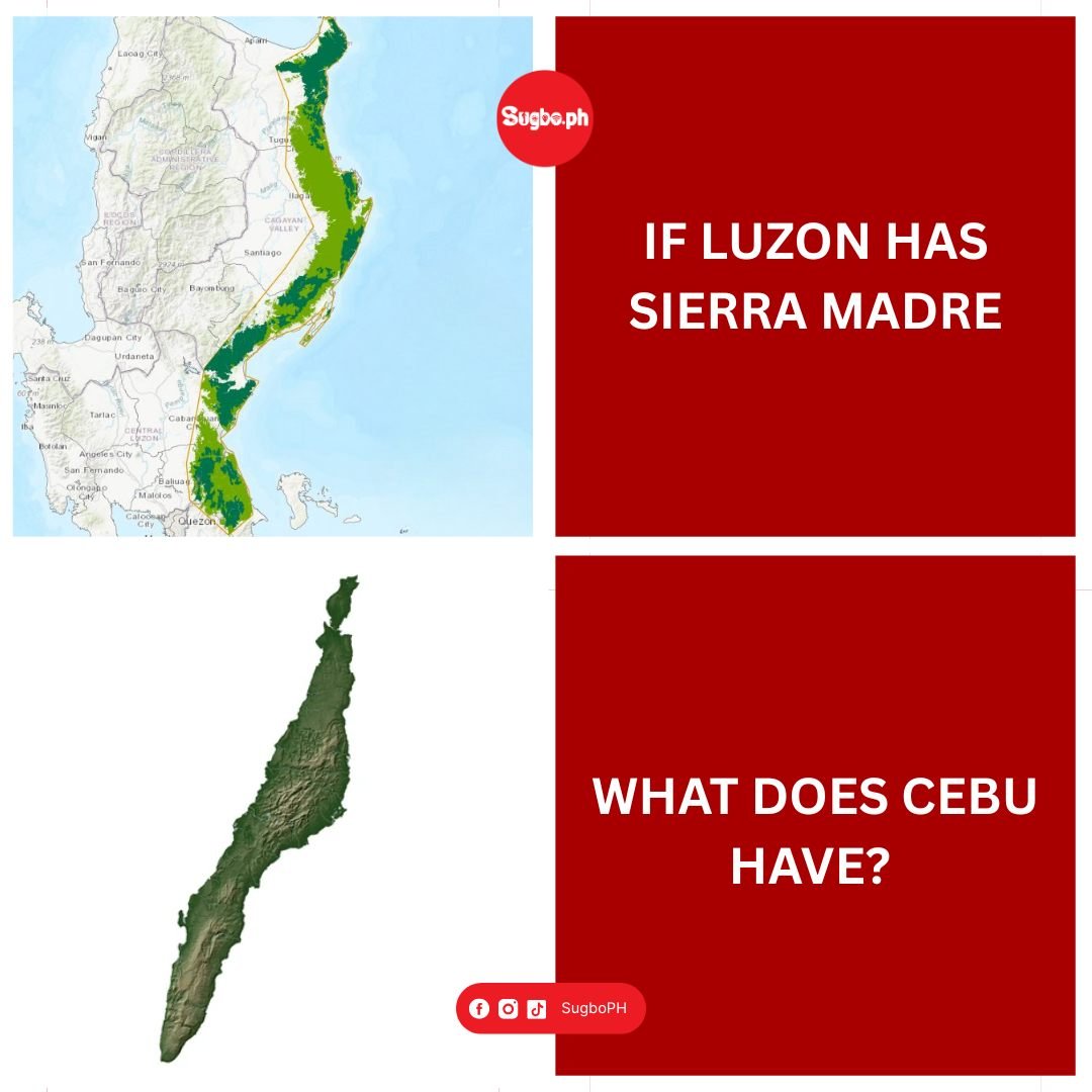 Cebu has a milker 🤭 chz