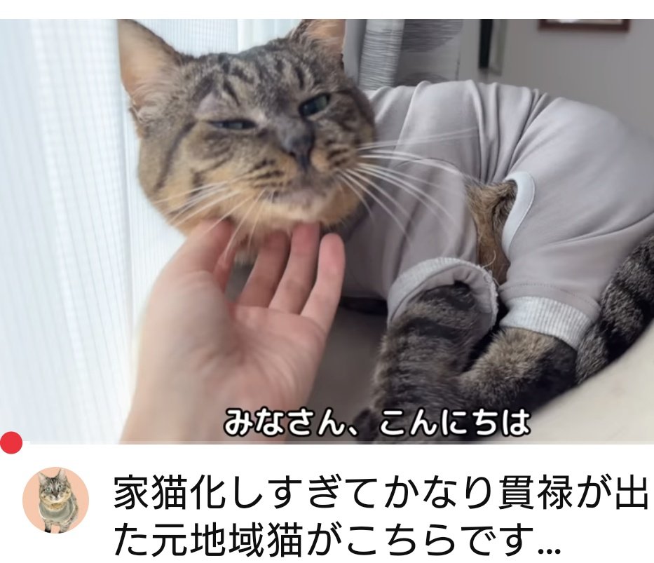 ほい (@5CQJSKTHPmBPioF) / Posts / X