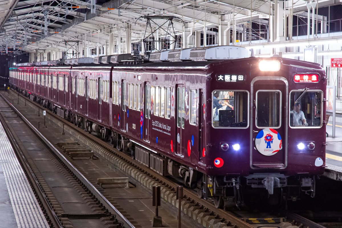 わっきー٩( 'ω' )و (@sakaisuji66605F) / Posts / X