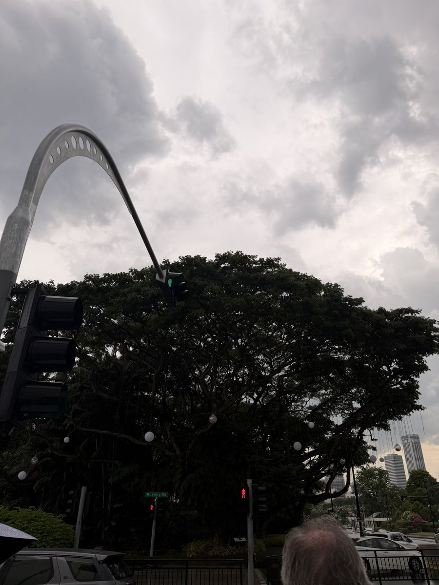 Fu_Aug's tweet image. 希望明年还能来福康宁晒太阳