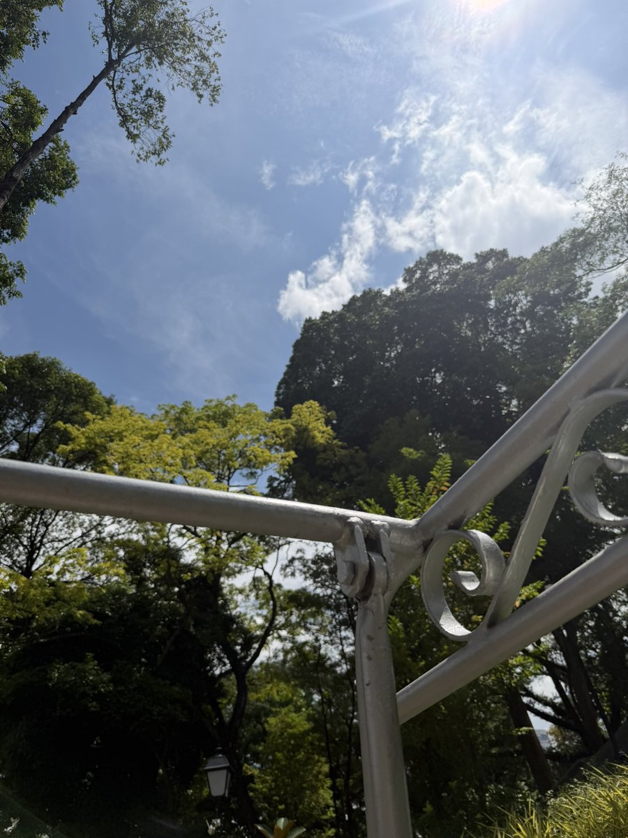 Fu_Aug's tweet image. 希望明年还能来福康宁晒太阳