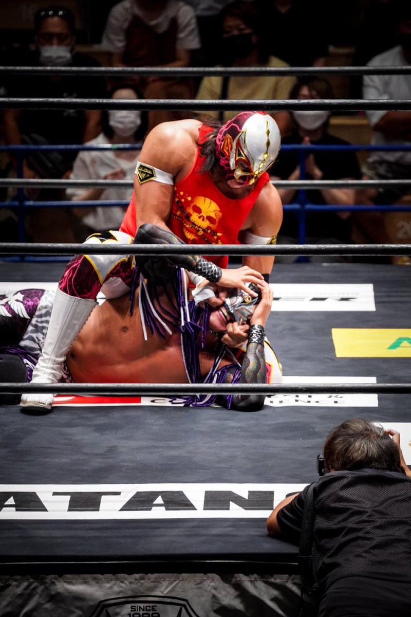 ルイス・マンテ (Luis Mante) tweet media