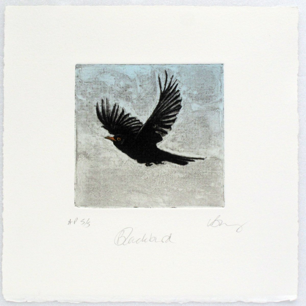 Lynn Bailey tweet media