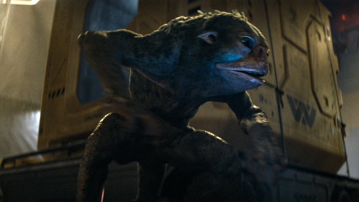 BDisgusting's tweet image. Still thinking about her.