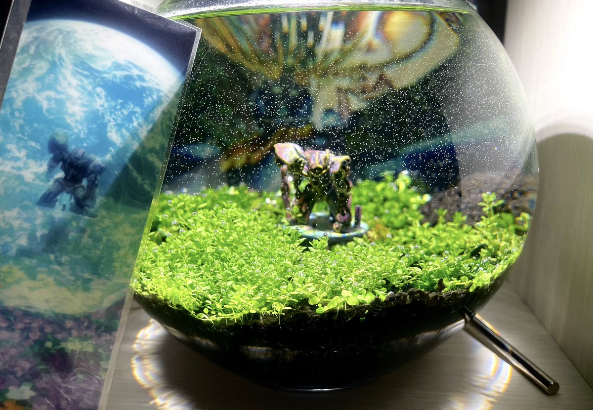 巴 (@mm_tomoe) / Posts / X