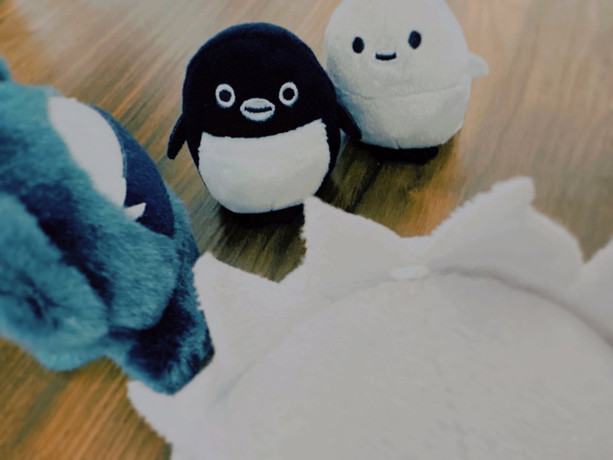 ☺︎💤 (@ouomgmgouo) / Posts / X