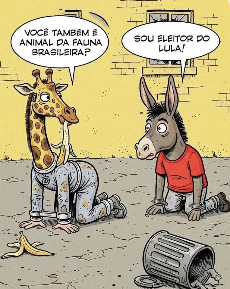 🤣🤣🤣🤣🤣🤣🤣🤣