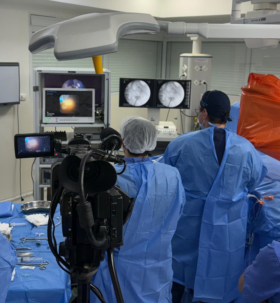 Matheus H L Pupulin tweet media