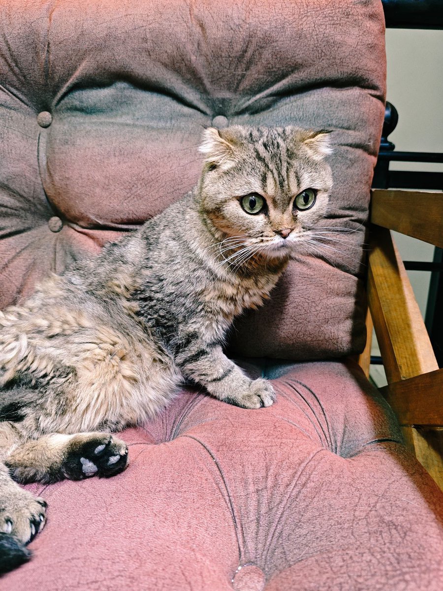 ❗️‼️#Sivas #SivasSokakHayvanları Çevre ilkere de gönderimini sağlarım. Ne olur kurtaralım yavrumuzu.