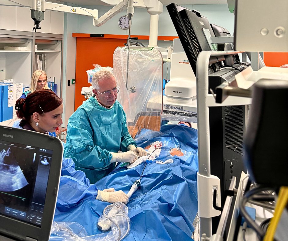 Fakultní nemocnice Motol a Homolka tweet media