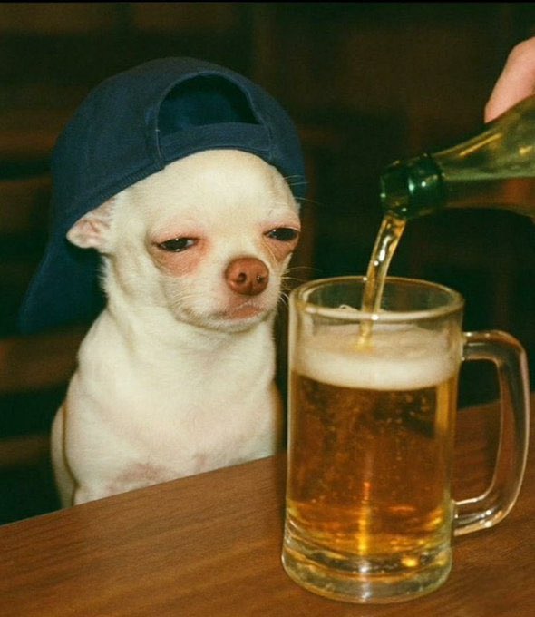 𝗕𝗨𝗦𝗞𝗬✞ CLONE tweet media