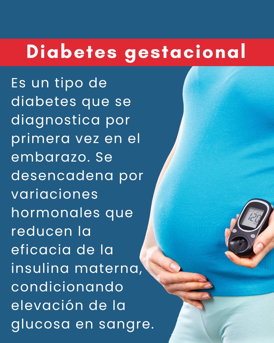 CANIA Empresas Polar tweet media
